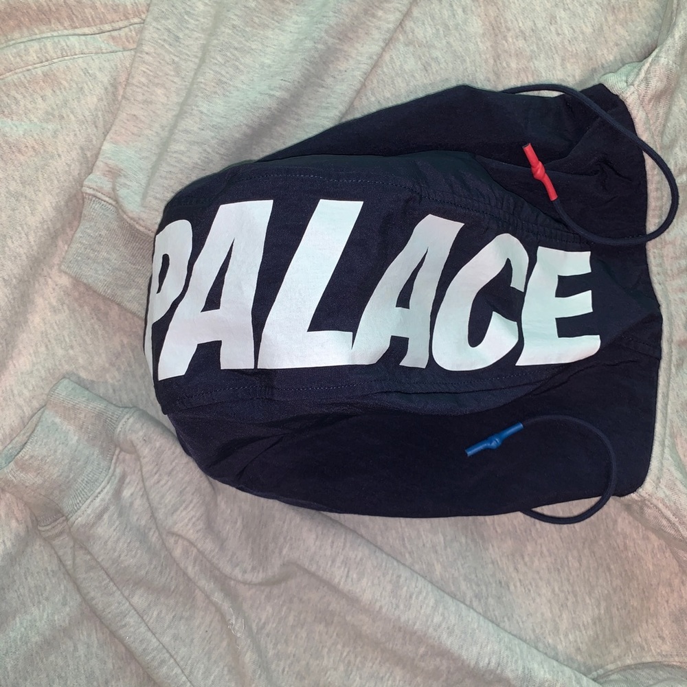 PALACE Twill 1/4 Hood